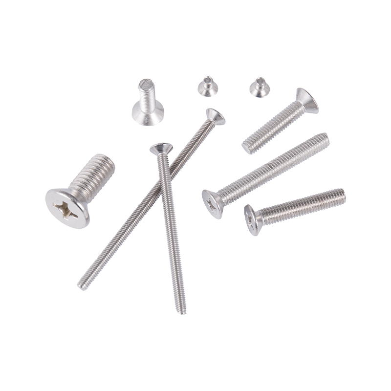 Capitis Capitis Apparatus Cochleas