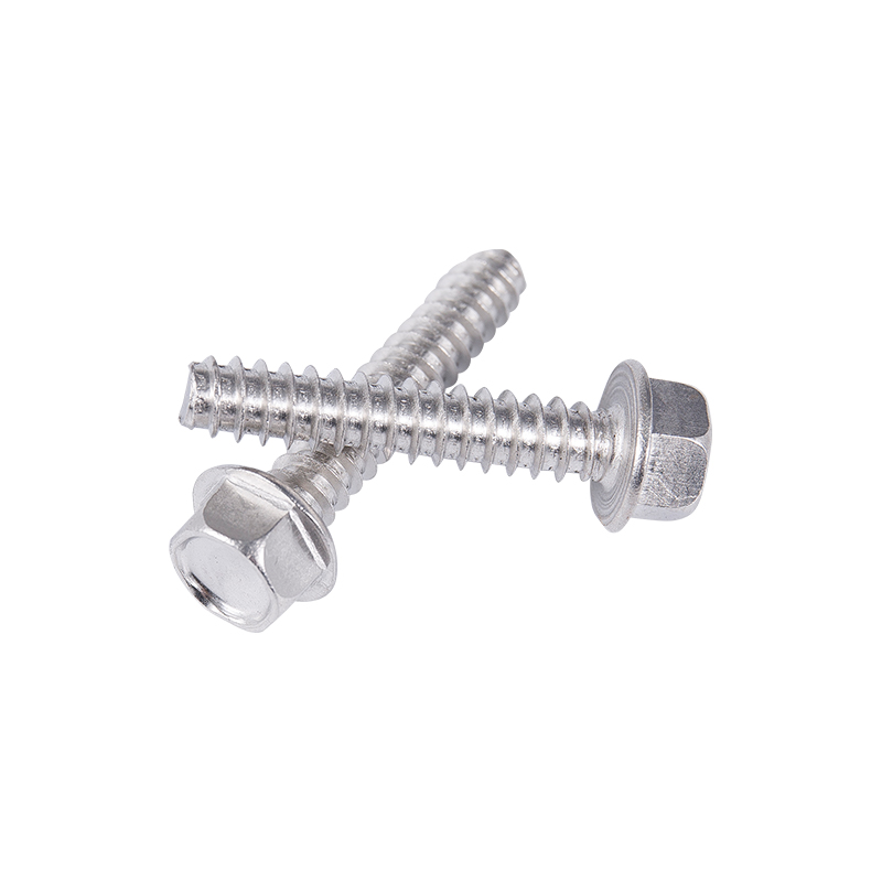 C1022a Sus40 Sus304 Sus316 plana cauda sui percussoque cochlea