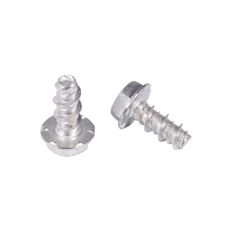 C1022a Sus40 Sus304 Sus316 plana cauda sui percussoque cochlea