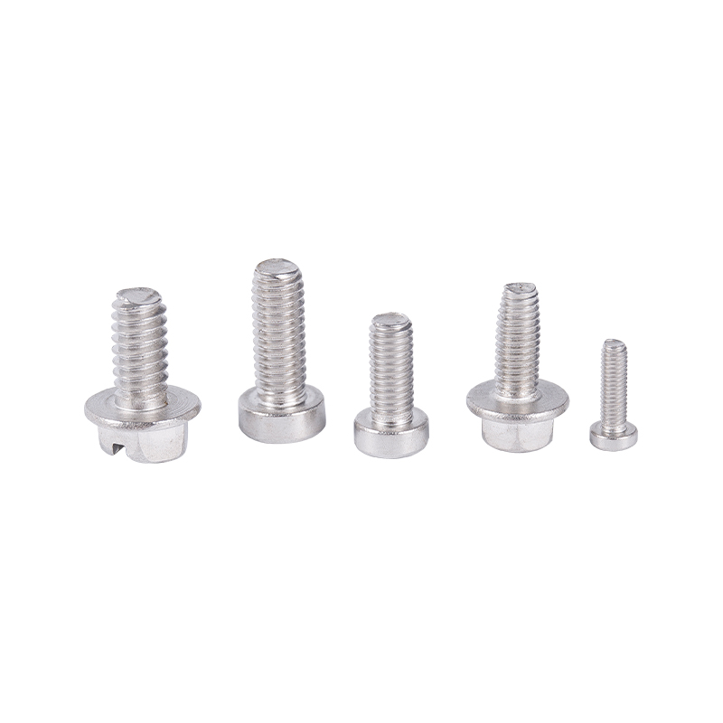 C1022a Sus40 Sus304 Sus316 plana cauda sui percussoque cochlea