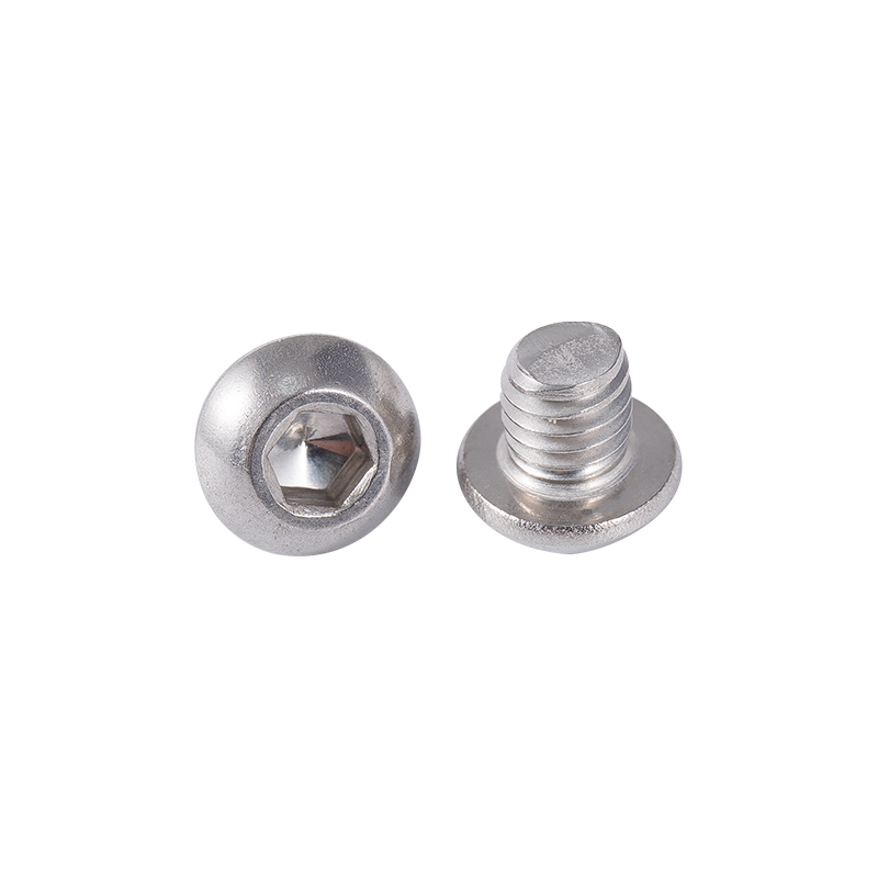 Pan caput apparatus Cochleas