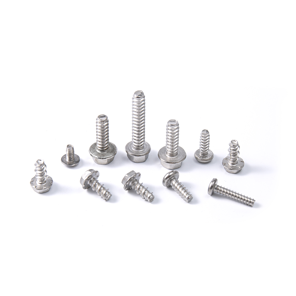 Plana cauda sui percussoque cochlea