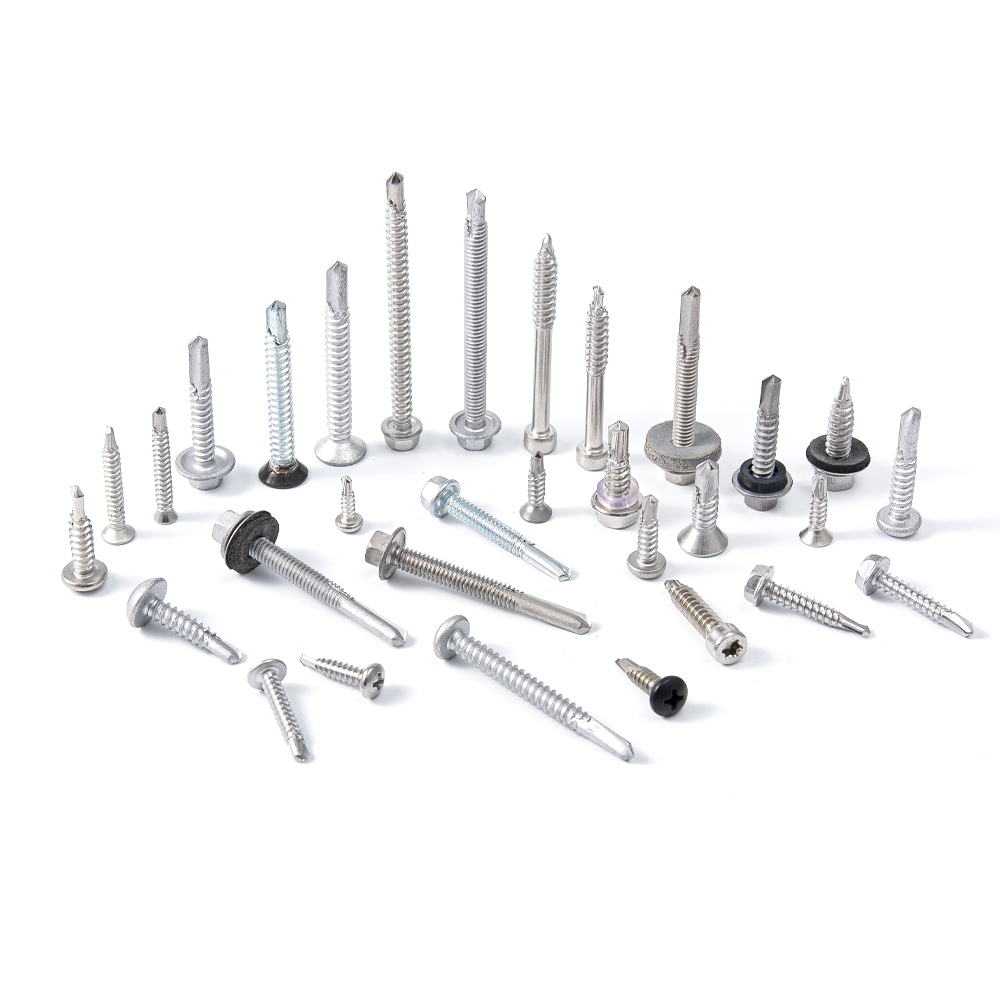 Sui EXERCITATIO Cochleas